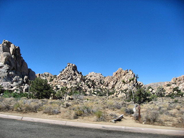 Joshua Tree National Park