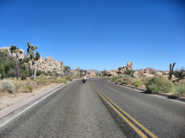 Joshua Tree National Park