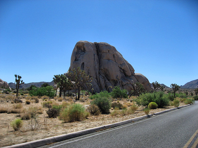 Joshua Tree National Park