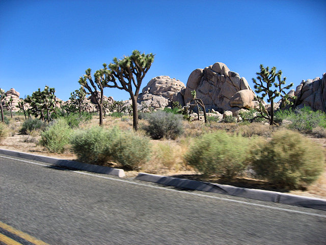 Joshua Tree National Park