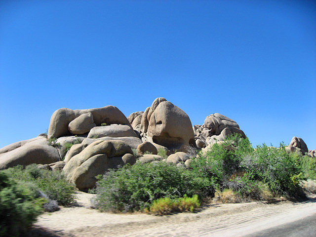 Joshua Tree National Park