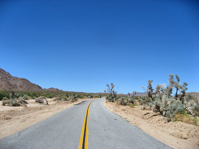 Joshua Tree National Park
