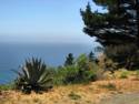 Pacific Coast Highway 1