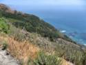 Pacific Coast Highway 1