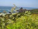 Pacific Coast Highway 1