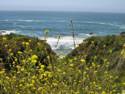 Pacific Coast Highway 1