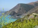 Big Creek Bridge on Pacific Coast Highway 1