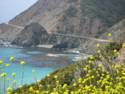 Big Creek Bridge on Pacific Coast Highway 1
