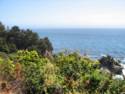 Pacific Coast Highway 1