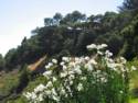 Pacific Coast Highway 1