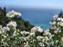 Pacific Coast Highway 1