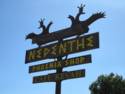 Nepenthe Restaurant