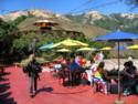 View From Nepenthe Restaurant