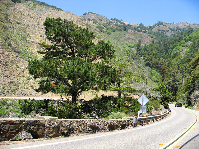 Pacific Coast Highway 1