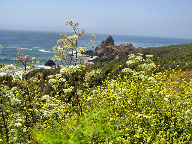 Pacific Coast Highway 1
