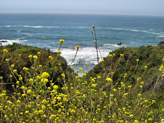 Pacific Coast Highway 1