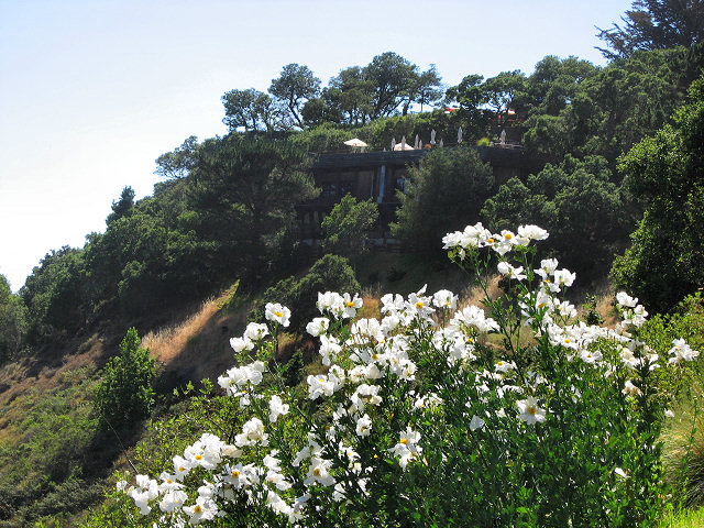 Pacific Coast Highway 1