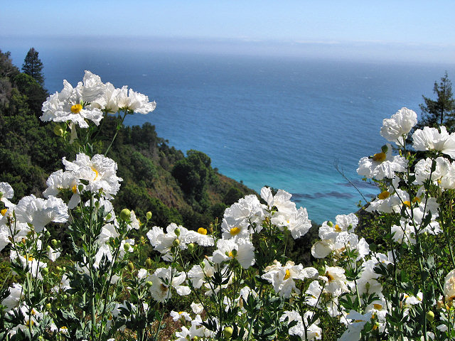 Pacific Coast Highway 1