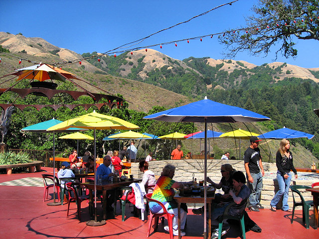 View From Nepenthe Restaurant