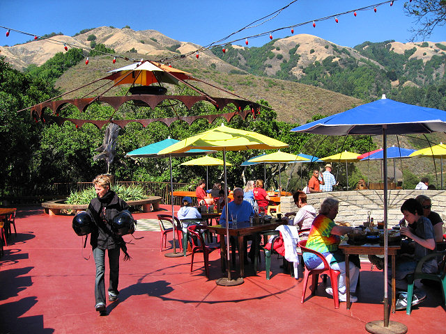 View From Nepenthe Restaurant