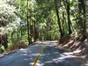 Empire Grade Rd.