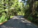 Empire Grade Rd.
