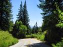 Empire Grade Rd.