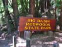 Big Basin Redwoods State Park