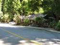Big Basin Redwoods State Park - Hwy. 236