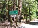 Big Basin Redwoods State Park - Hwy. 236
