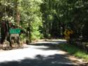 Big Basin Redwoods State Park - Hwy. 236