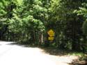 Big Basin Redwoods State Park - Hwy. 236