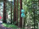 Big Basin Redwoods State Park - Hwy. 236