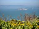Golden Gate Bridge from Marin Headlands