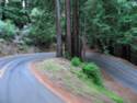 Fairfax Bolinas Rd.