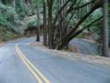 Fairfax Bolinas Rd.