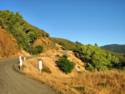 Fairfax Bolinas Rd.