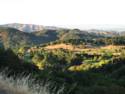 Fairfax Bolinas Rd.