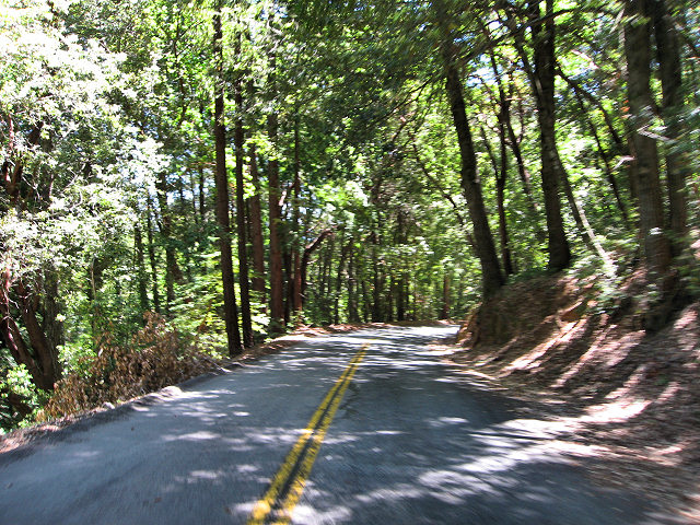 Empire Grade Rd.