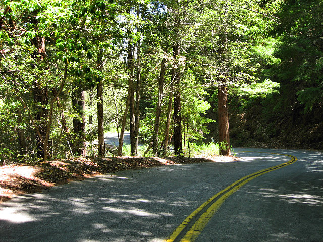 Empire Grade Rd.