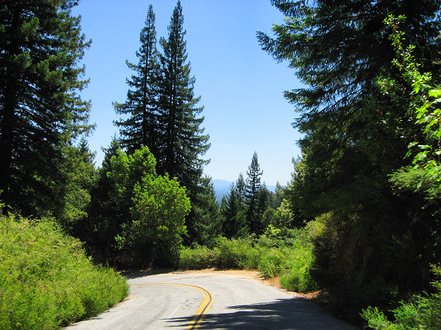 Empire Grade Rd.