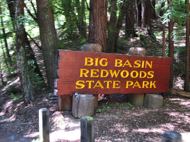 Big Basin Redwoods State Park
