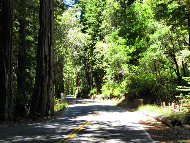 Big Basin Redwoods State Park - Hwy. 236