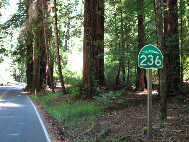 Big Basin Redwoods State Park - Hwy. 236