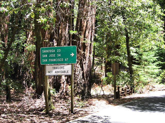 Big Basin Redwoods State Park - Hwy. 236