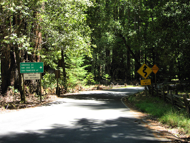 Big Basin Redwoods State Park - Hwy. 236