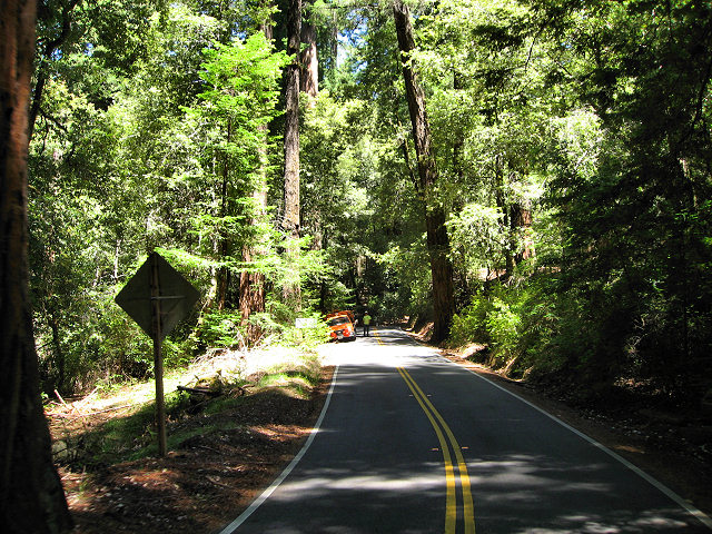Big Basin Redwoods State Park - Hwy. 236