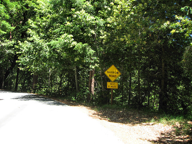 Big Basin Redwoods State Park - Hwy. 236