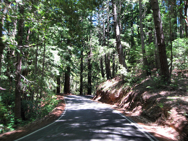 Big Basin Redwoods State Park - Hwy. 236