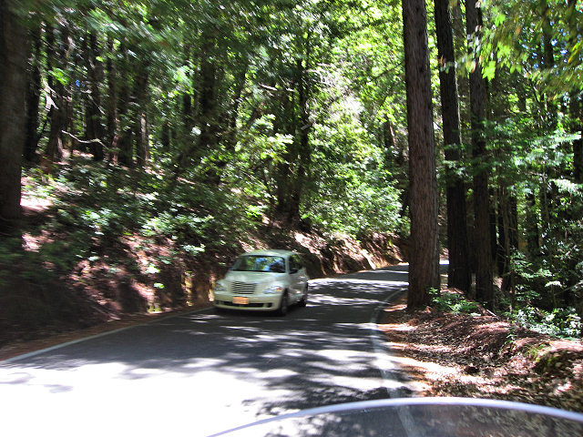Big Basin Redwoods State Park - Hwy. 236